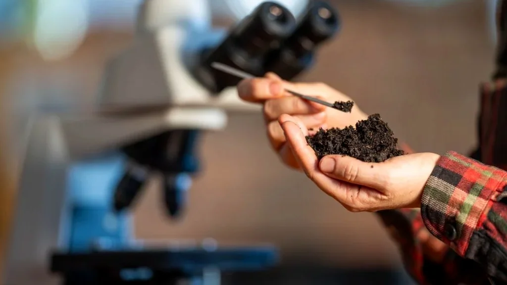 Illustrative image of Soil classification (USCS/AASHTO) in Fremont
